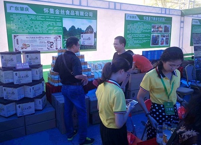 肇慶舉辦綠色農副產品集散基地投資環境推介會，助力農副產品銷售新篇章