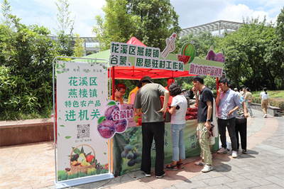花溪區燕樓鎮谷蒙村 駐村工作隊變身“推銷員”，打通農產品銷售最后一公里
